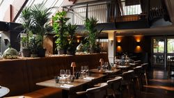 Modern restaurant interior with large windows, green plants, and neatly set dining tables.