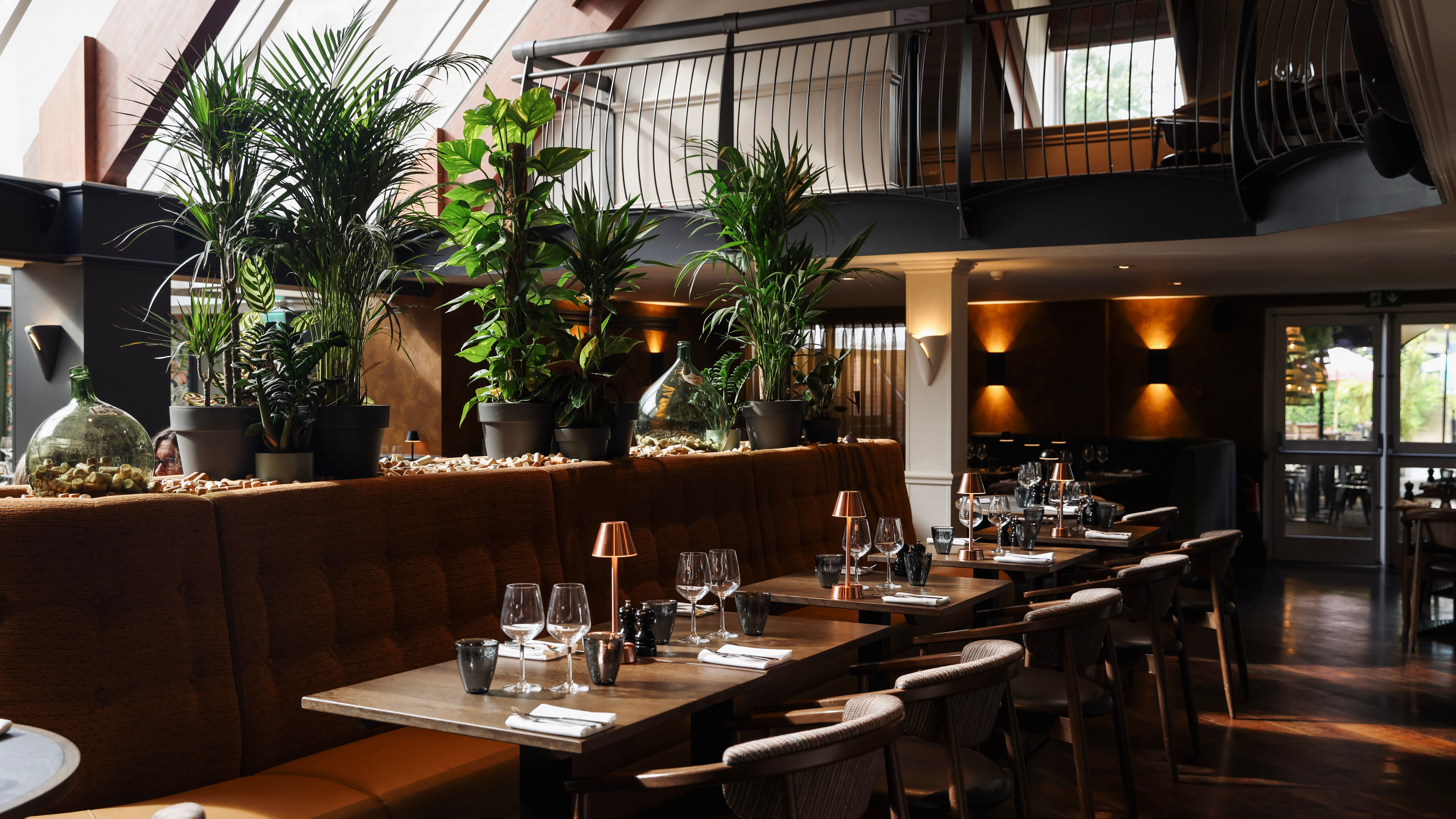 Modern restaurant interior with large windows, green plants, and neatly set dining tables.