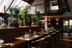 Modern restaurant interior with large windows, green plants, and neatly set dining tables.