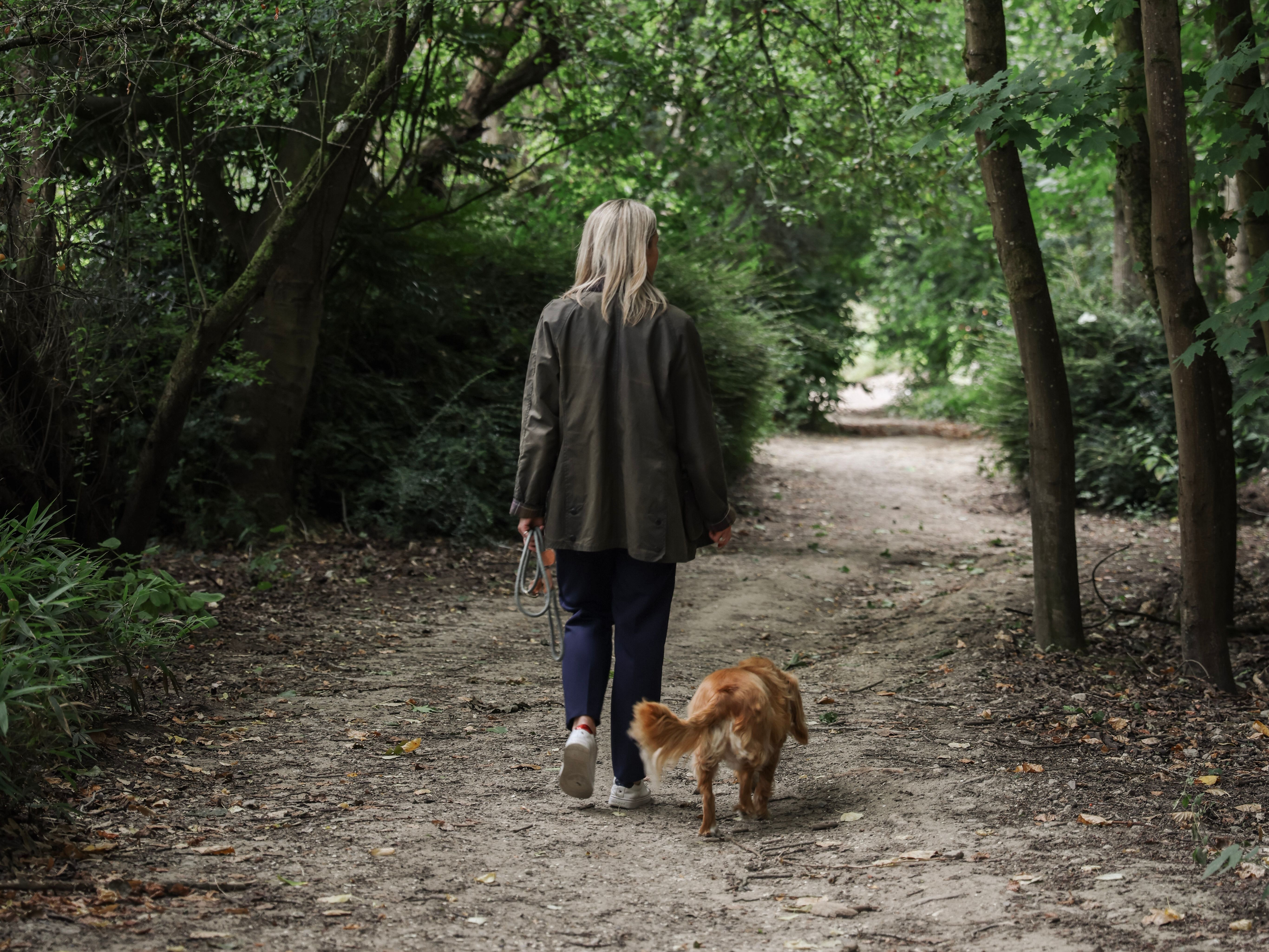 Person walking a dog on a dirt path through a lush, green forest.
