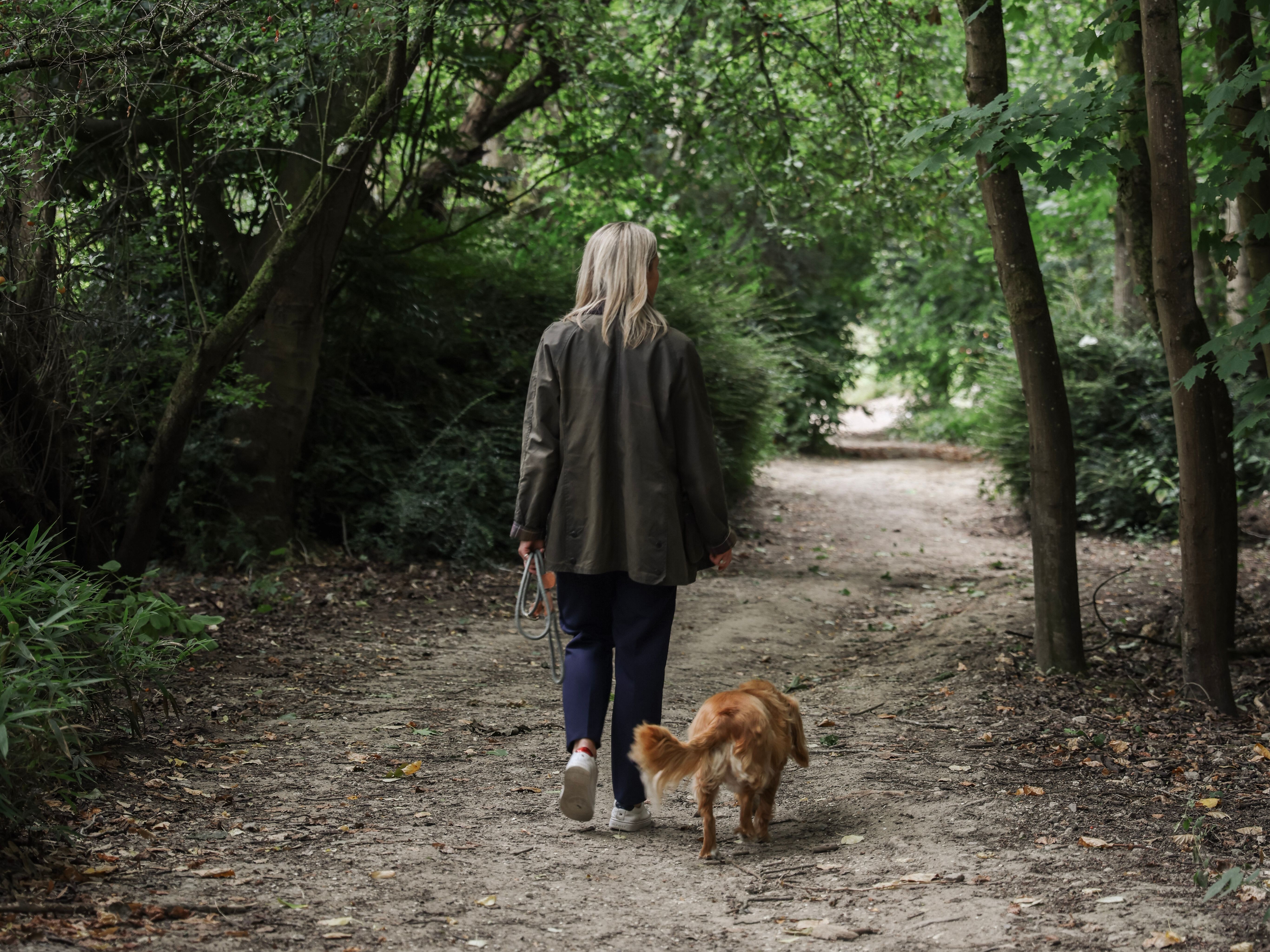 Person walking a dog on a dirt path through a lush, green forest.