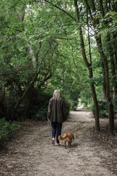 Person walking a dog on a dirt path through a lush, green forest.