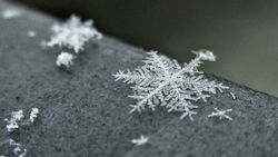 Close-up of a detailed snowflake on a dark surface