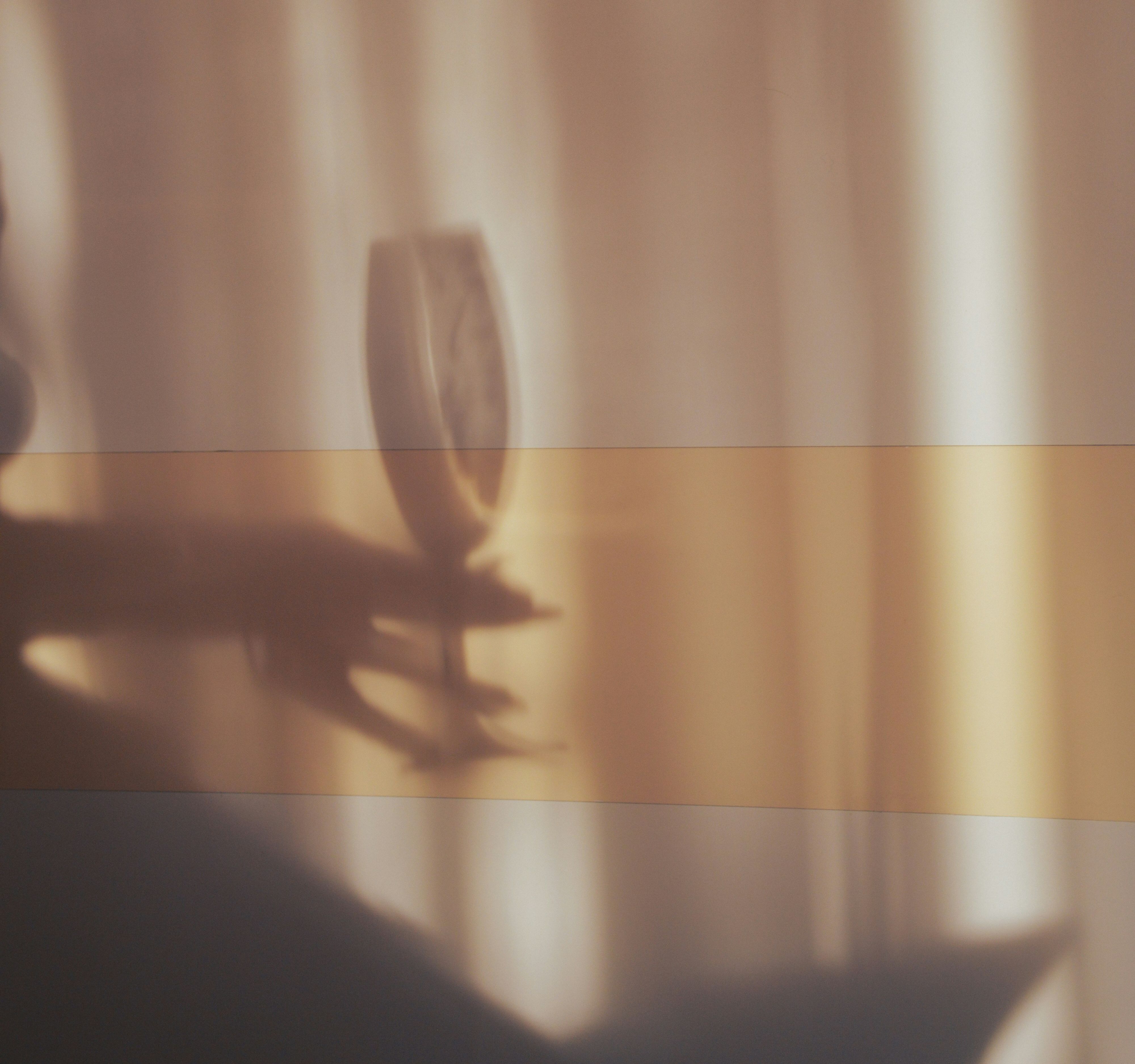 Shadow of a hand holding a wine glass against a softly lit wall
