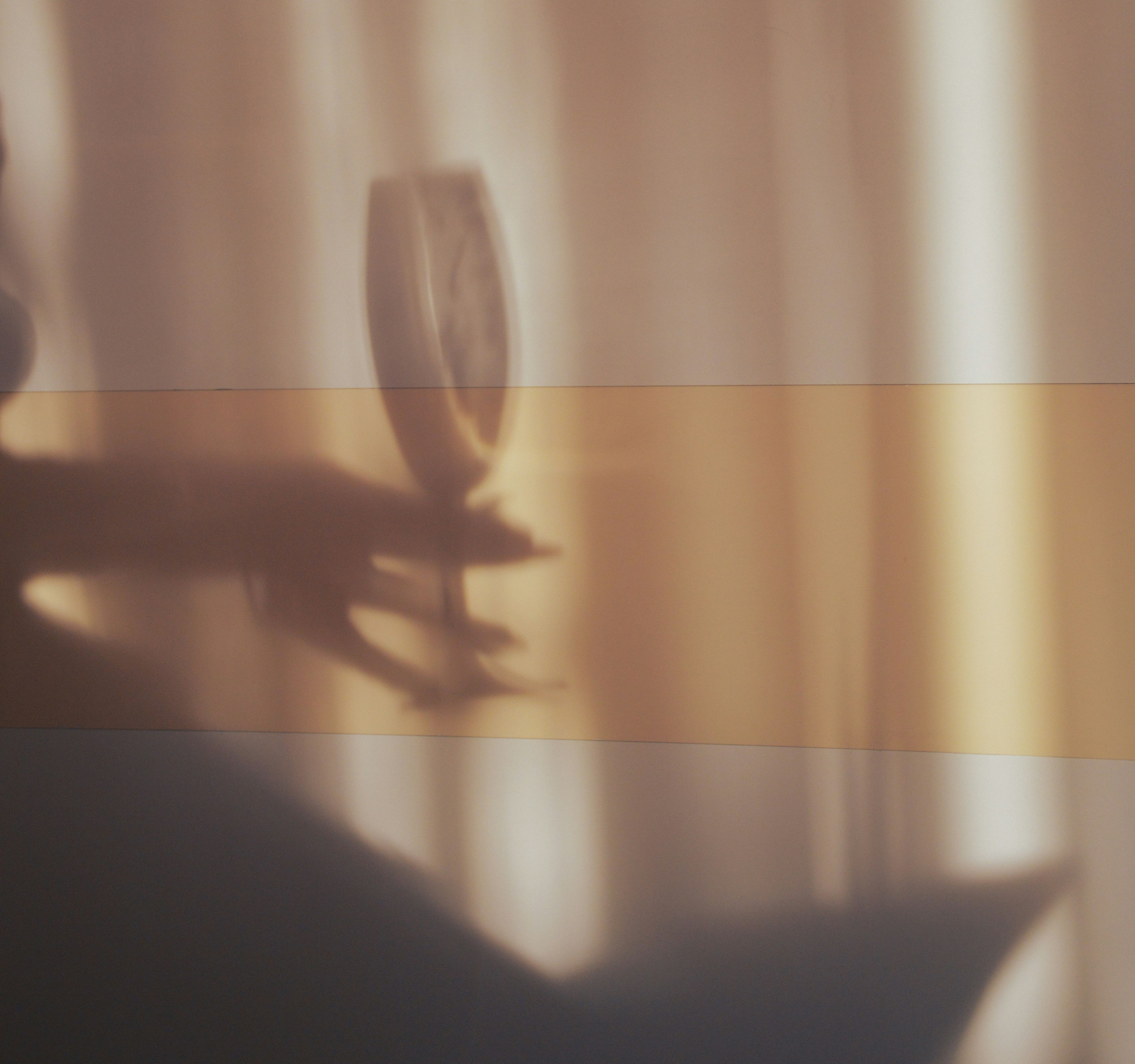 Shadow of a hand holding a wine glass against a softly lit wall