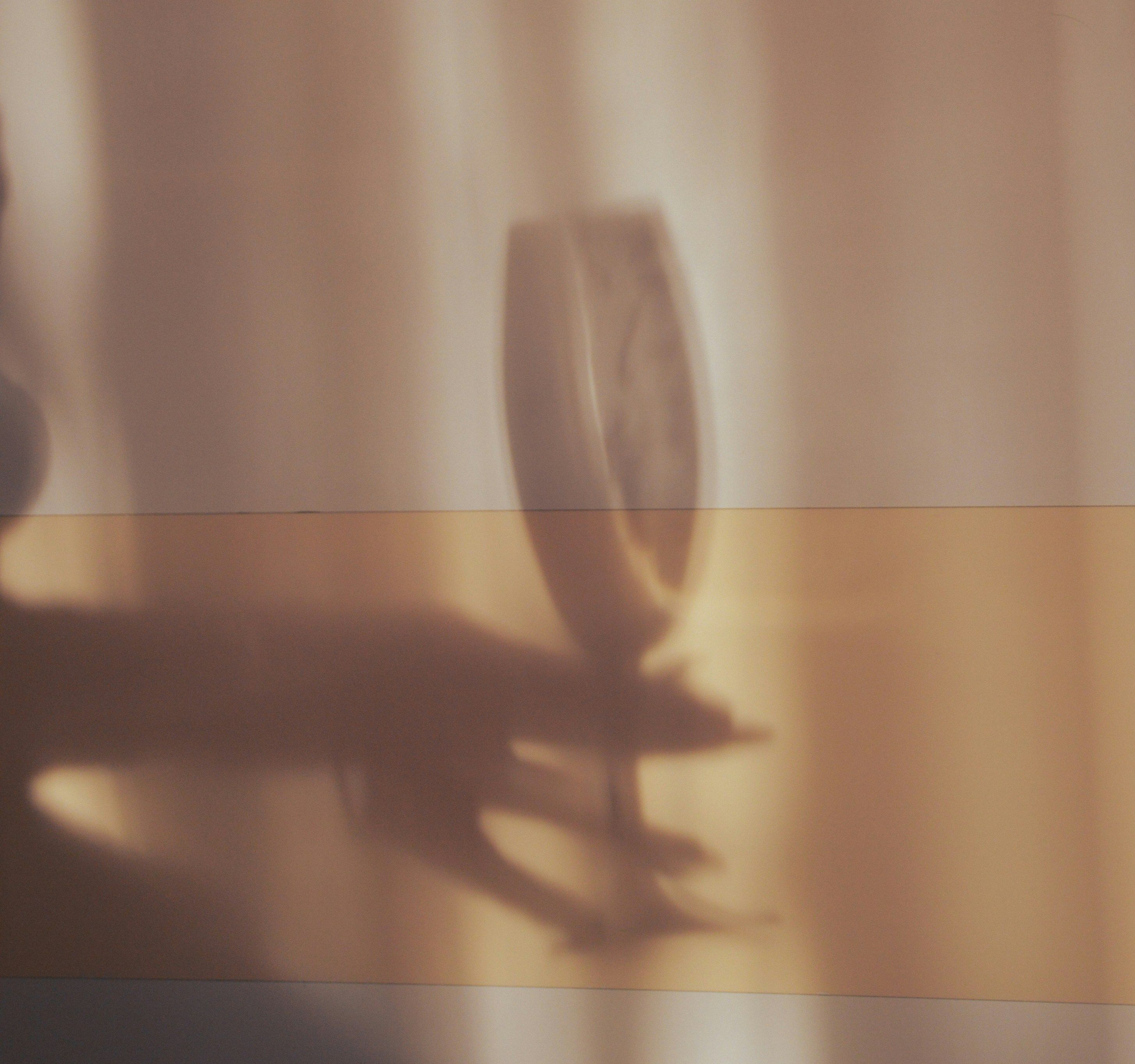Shadow of a hand holding a wine glass against a softly lit wall