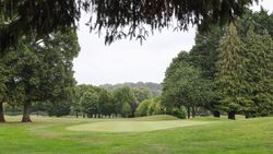 A scenic view of a golf green surrounded by trees and lush greenery, with a flag marking the hole.