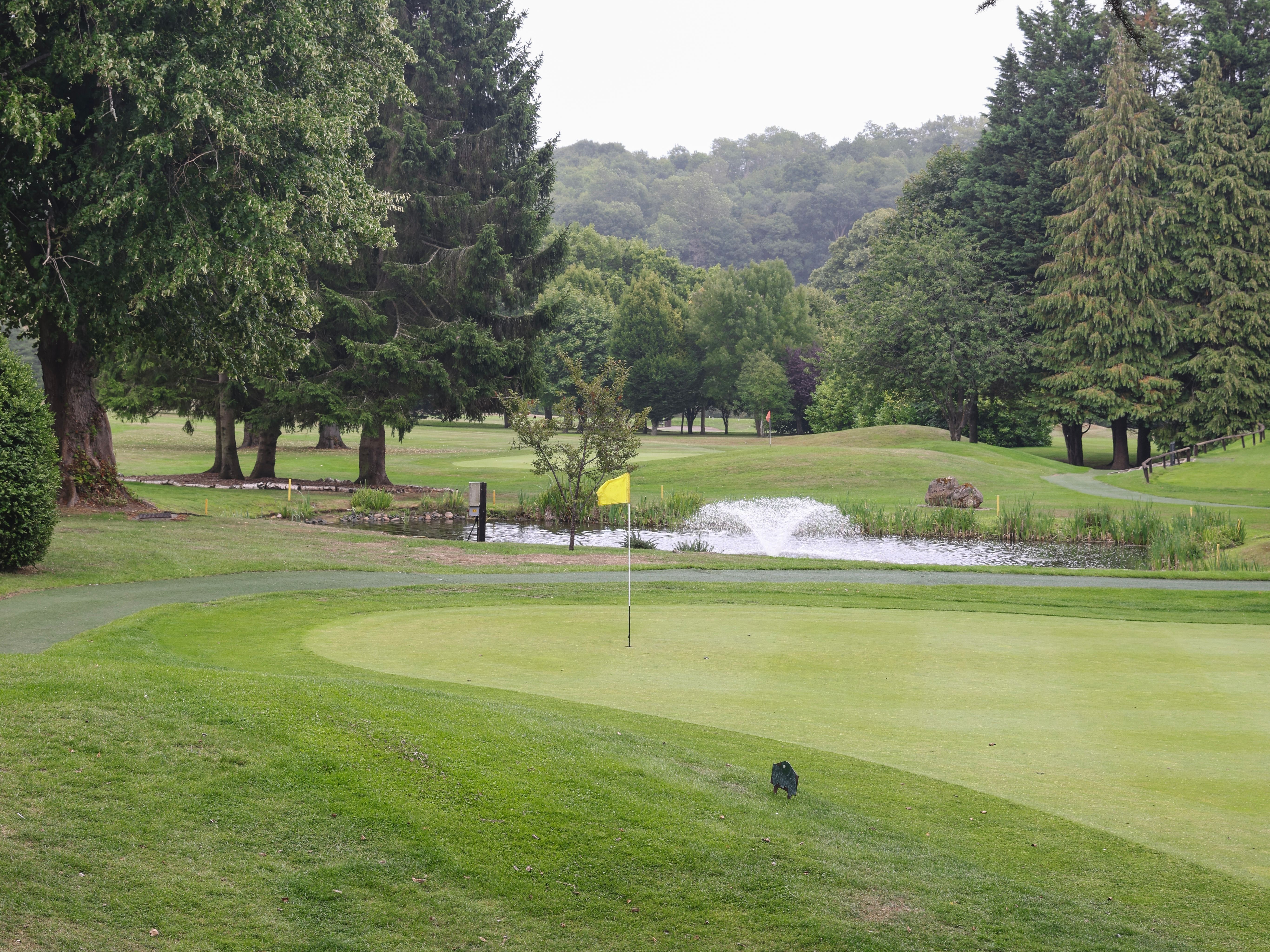 A golf green with a yellow flag, surrounded by trees and a small pond with a fountain.