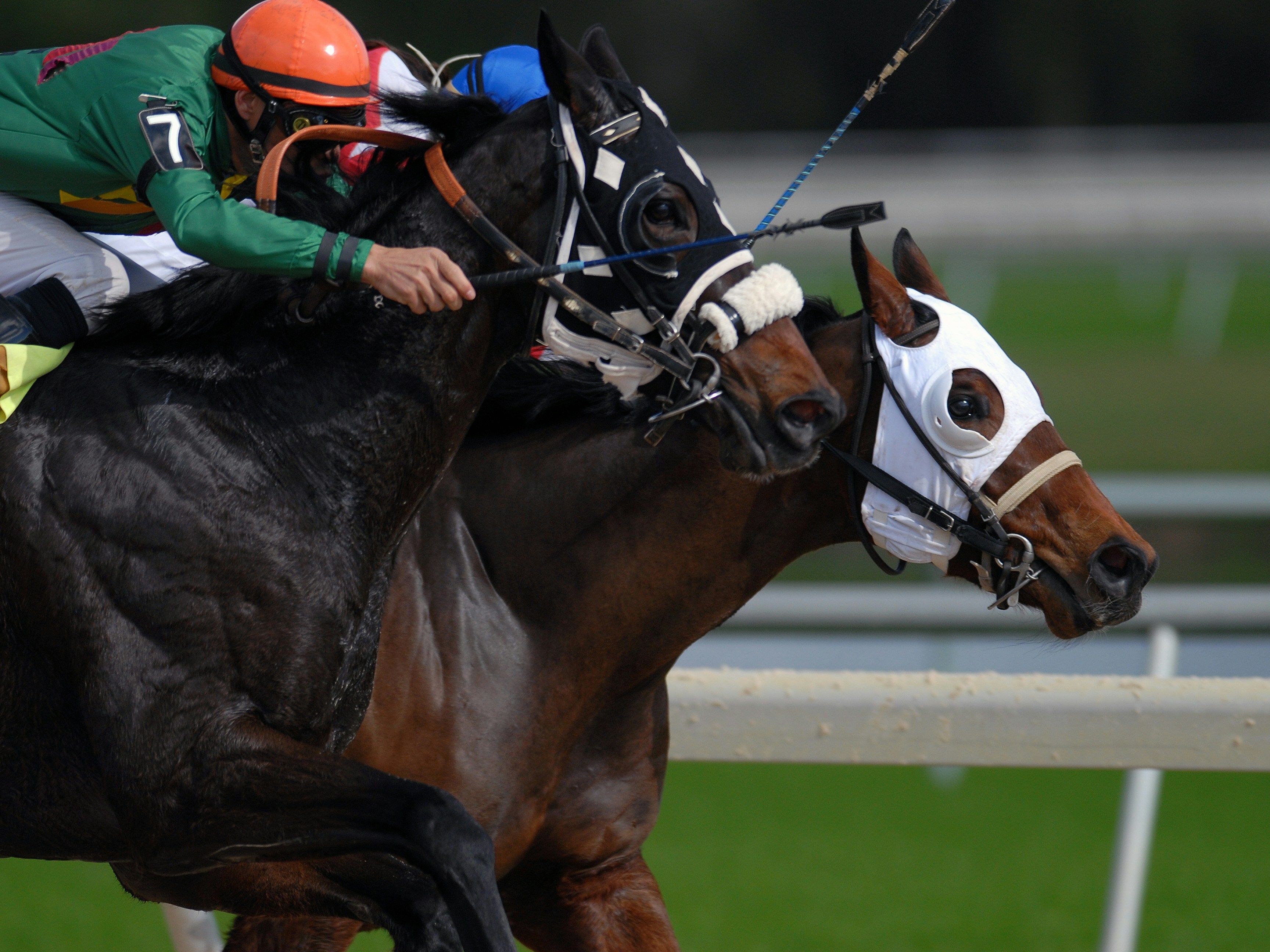 Close-up of two racehorses with jockeys competing in a horse race.