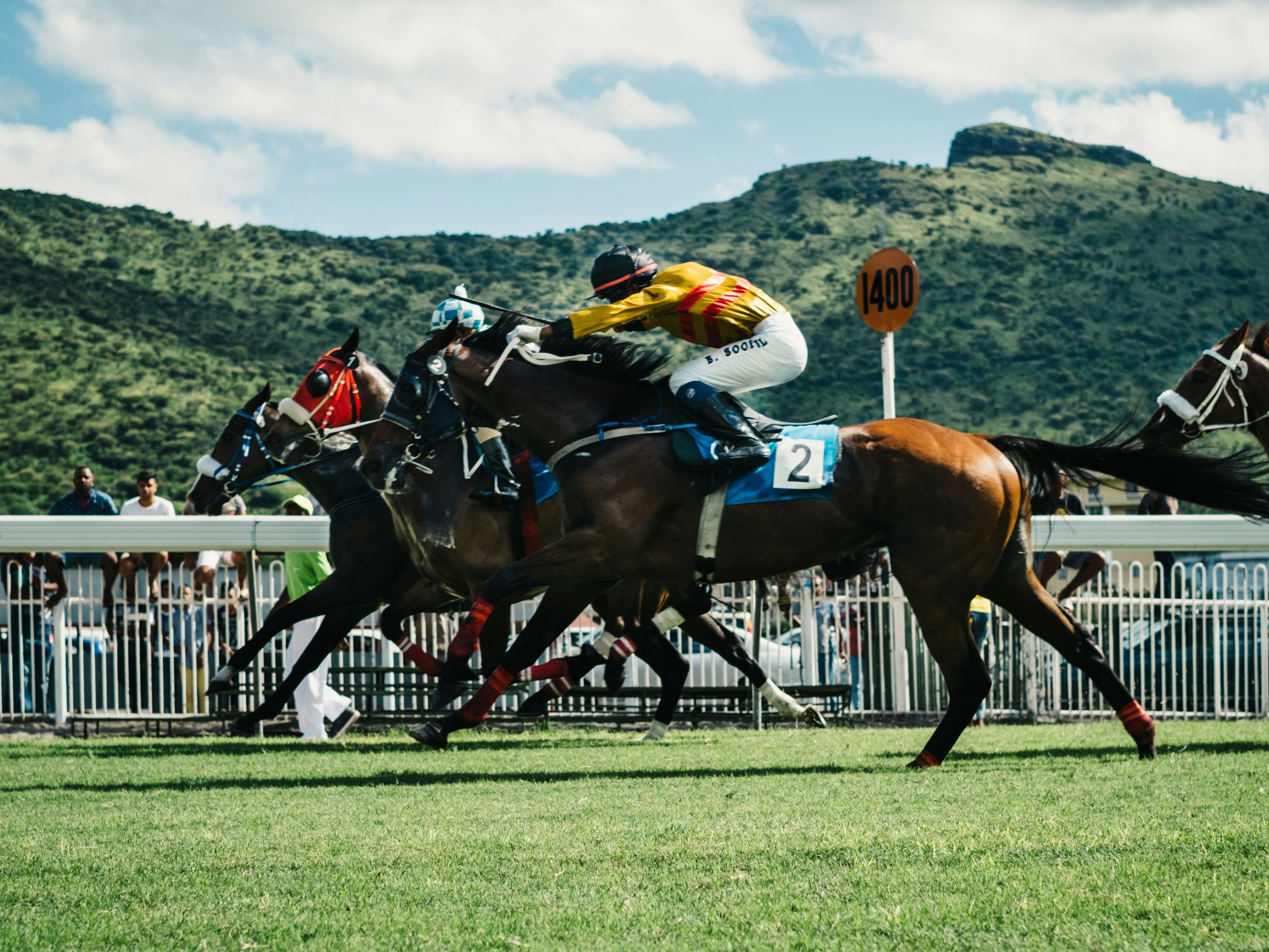Horse racing event with jockeys riding their horses at full speed on a grassy track