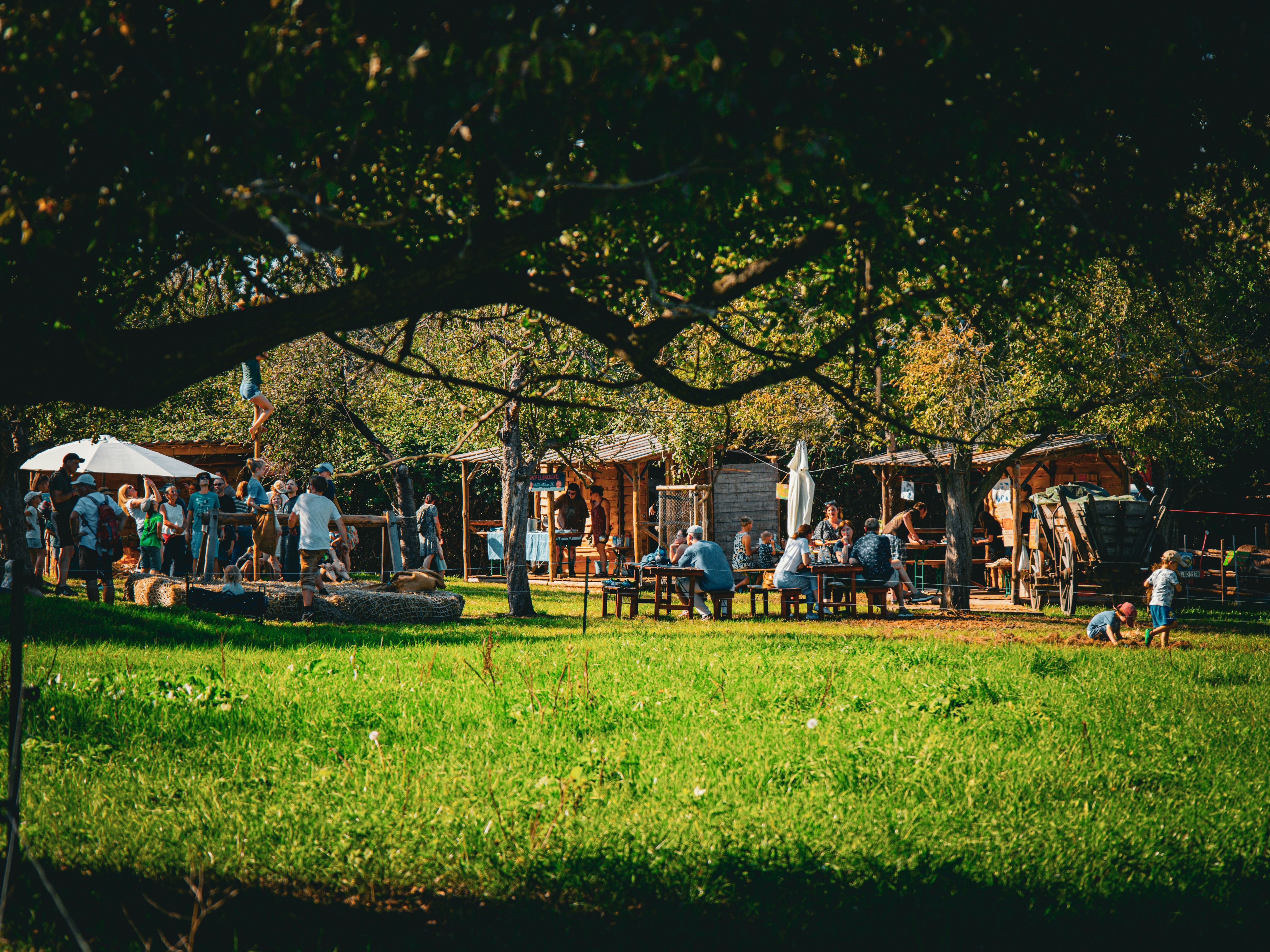People relaxing at outdoor tables beneath trees in a sunny park with wooden stalls in the background