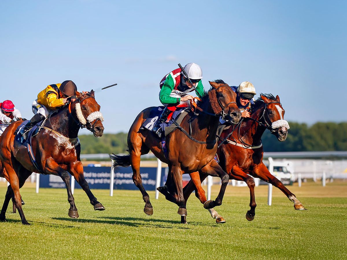 Jockeys riding racehorses at full gallop on a turf track under a clear blue sky
