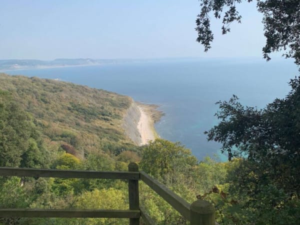 the-bothy-undercliff-walk-768x1024