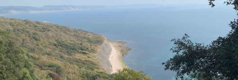 the-bothy-undercliff-walk-768x1024