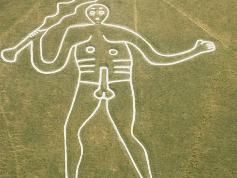 cernegiantbirdseyeonentiraygaffney