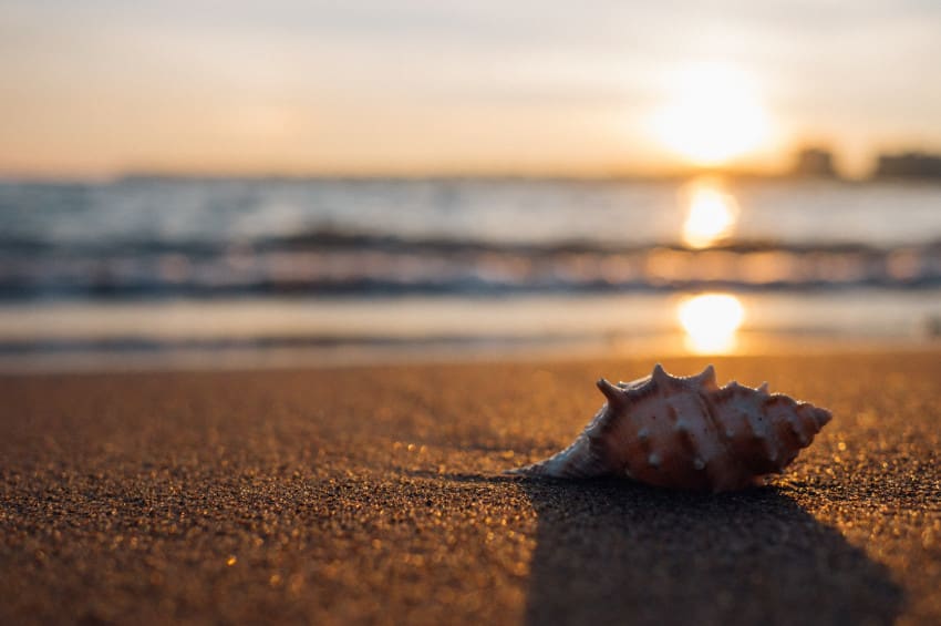 aaron-burden-LMlVa3QDEXs-unsplash