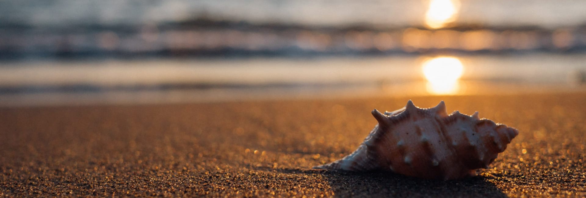 aaron-burden-LMlVa3QDEXs-unsplash