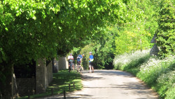 Cycling in the lanes