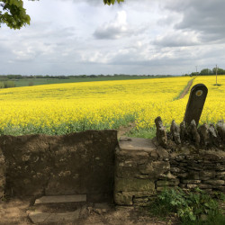 Walk over the fields