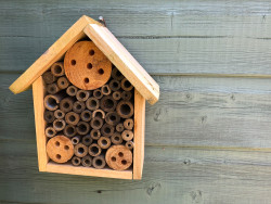 Insect hotel
