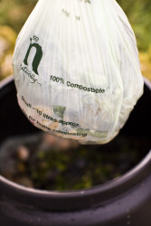 Compost bin