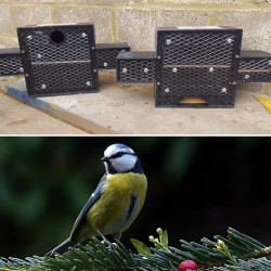 Building integrated bird boxes
