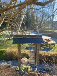 Fat ball feeder in winter at The Chestnuts
