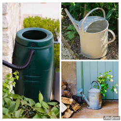 Watering cans and butt