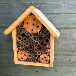 Insect hotel