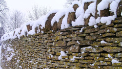 Cotswolds Stone wall in winter