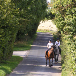 Horse riding in the lanes
