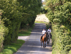 Horse riding in the lanes