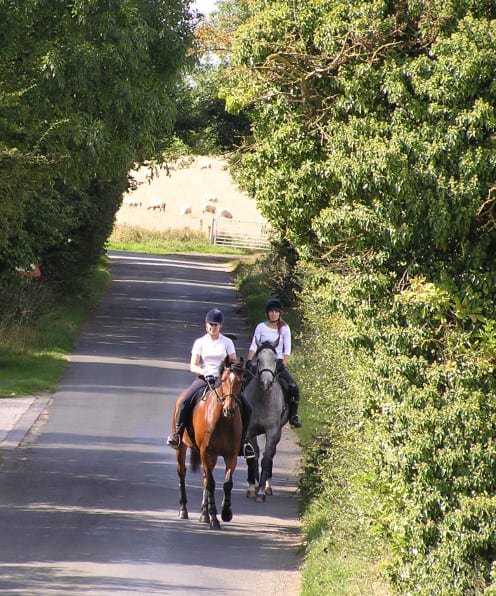 Horse riding in the lanes