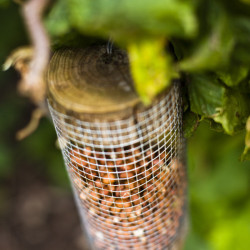 Bird feeder
