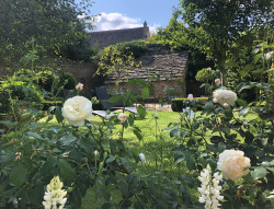 Culls Cottage rear garden