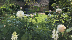 Culls Cottage rear garden