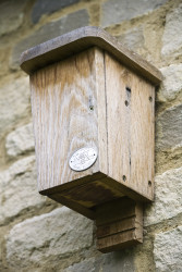 Bat Box
