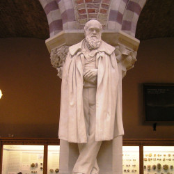 Darwin at the museum