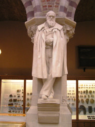 Darwin at the museum