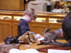 Jake at the natural history museum