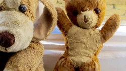 Teddy and Gatsey
