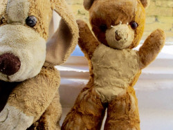 Teddy and Gatsey