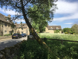 Shilton village in May