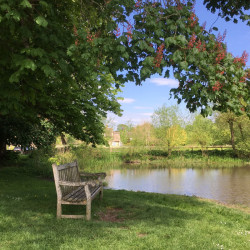 Shilton village ford bench
