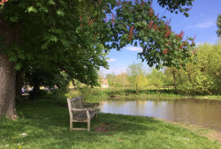 Shilton village ford bench