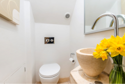 Downstairs toilet The Chestnuts