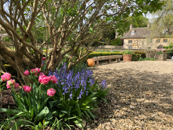 Spring flowers with view to downs house