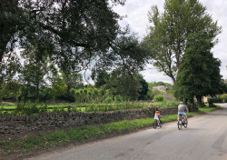 Father and daughter cycling in Shilton