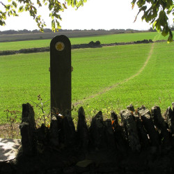 Footpath from Shilton