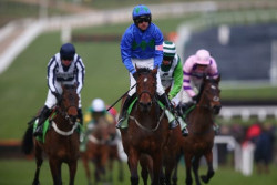 Racing at the Cheltenham Gold Cup.